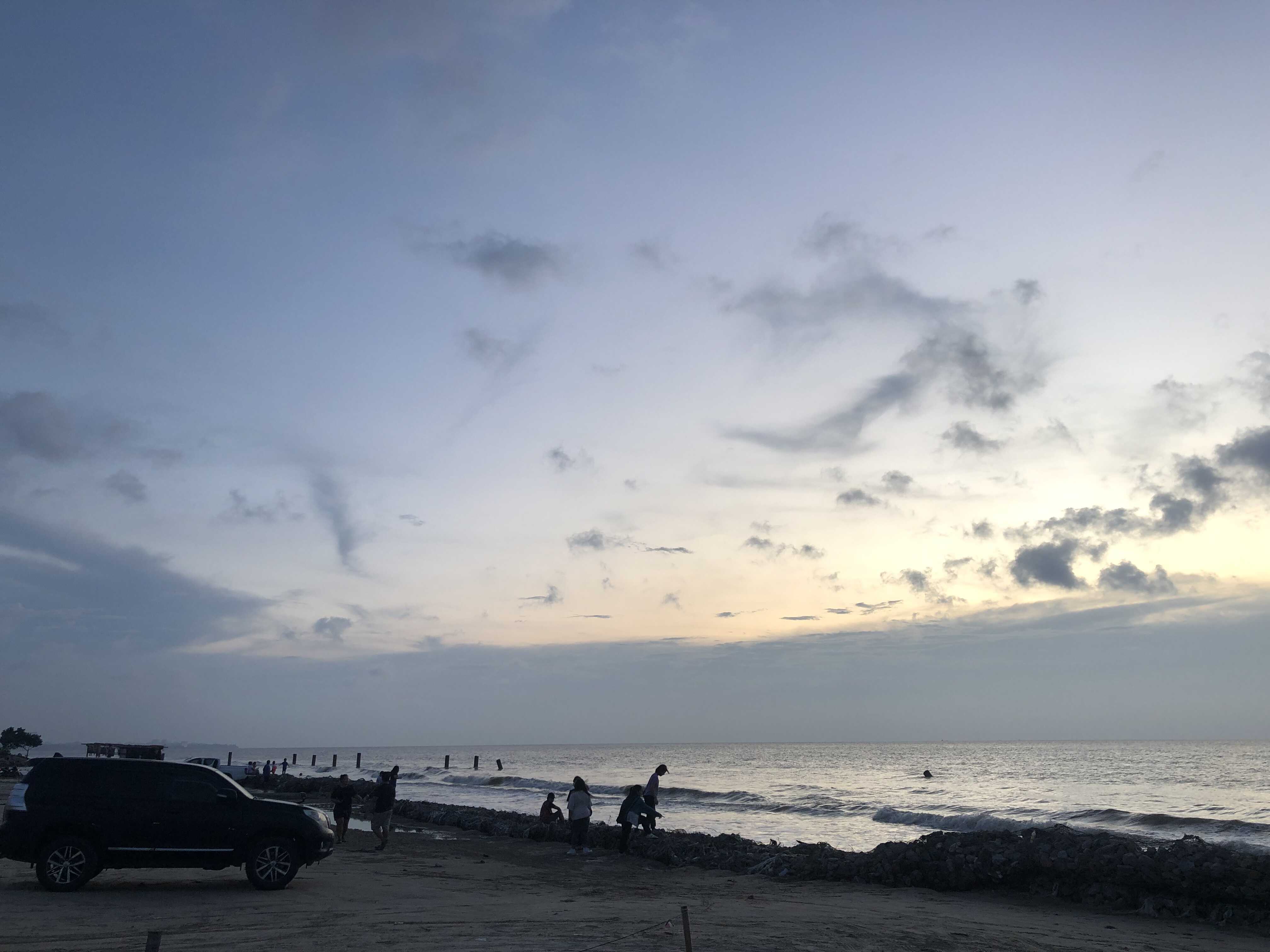 bingon laut