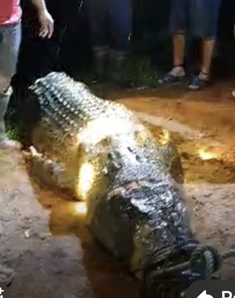 bu'ai