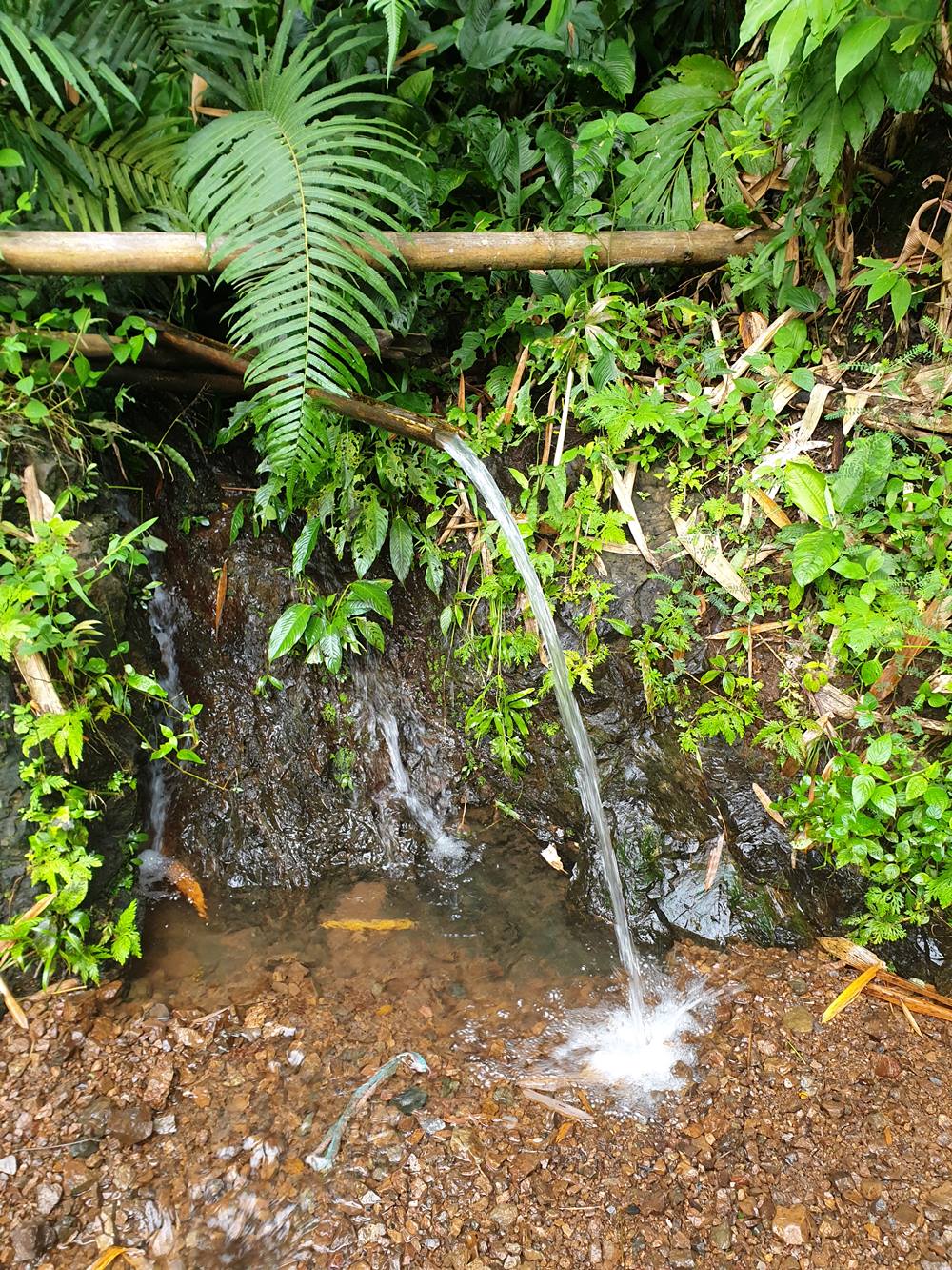 A bamboo water pipe by the roadside up Mount Sentah, Siburan
