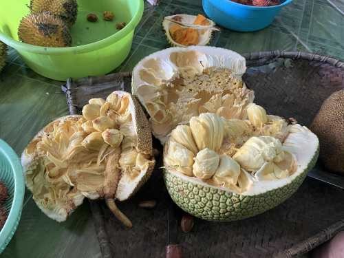 Nakan Image 2