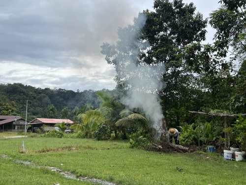 Asuh Image 2